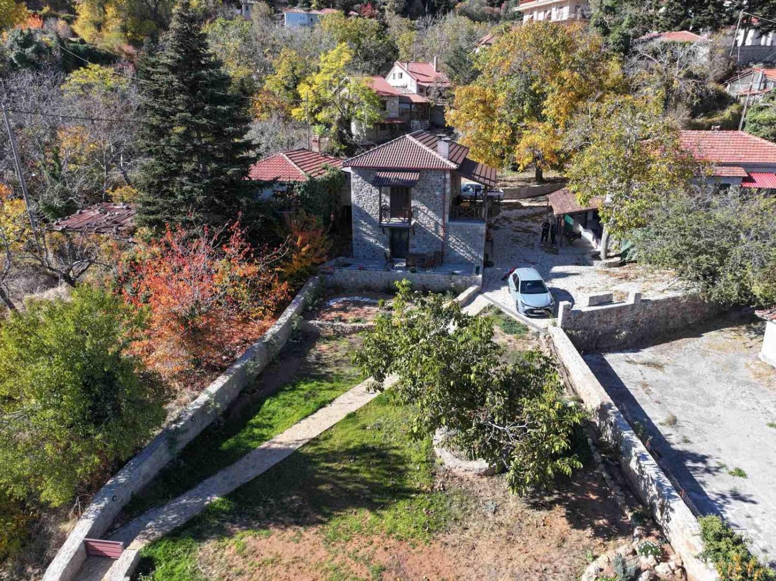 Villa Νόστος Ano Trikala Exterior foto